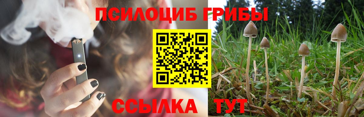 Псилоцибиновые грибы Magic Shrooms  Вход с VPN  Пыть-Ях  Псилоцибиновые грибы MAGIC MUSHROOMS 